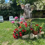 Assisi, La Noce Appartement *