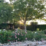 Assisi, La Noce Assise