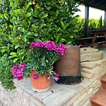 Assisi, La Noce *