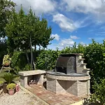 Assisi, La Noce *