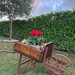 Assisi, La Noce Assisi
