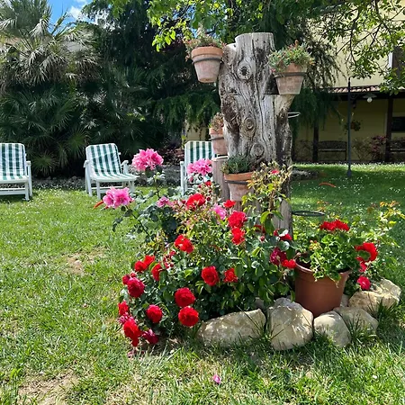 Assisi, La Noce Apartment *