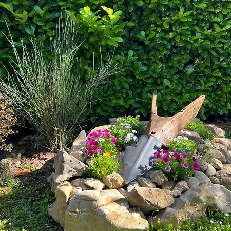 Assisi, La Noce * Asís