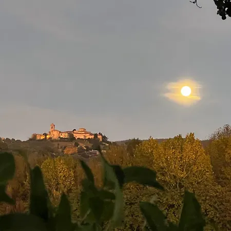 Assisi, La Noce Assisi