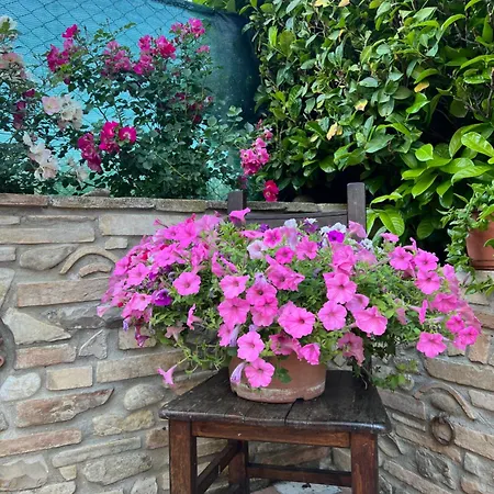 Assisi, La Noce Apartment
