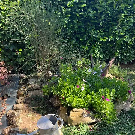 Apartamento Assisi, La Noce Asís