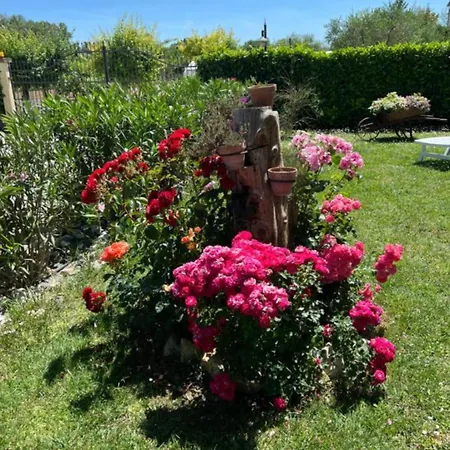 Apartamento Assisi, La Noce Asís