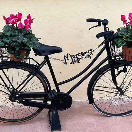 Assisi, La Noce * Asís