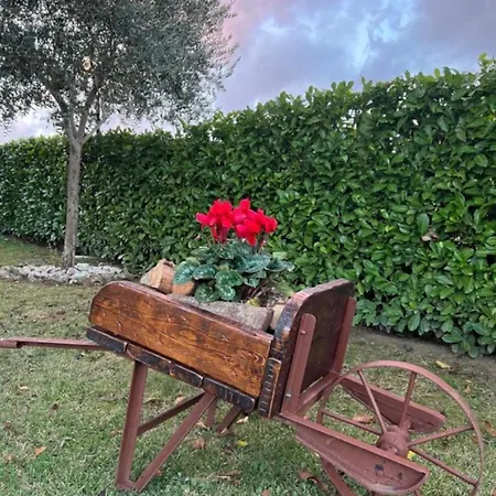 Assisi, La Noce 아시시