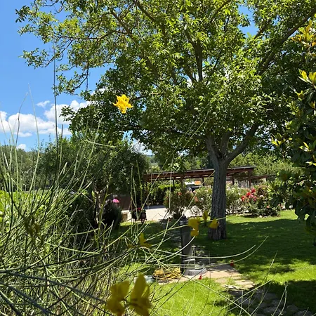 Assisi, La Noce Апартаменты Ассизи