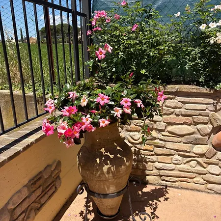 Assisi, La Noce Апартаменты Ассизи