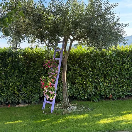 Assisi, La Noce Апартаменты