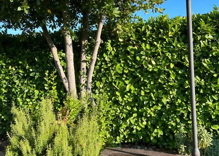 Apartamento Assisi, La Noce