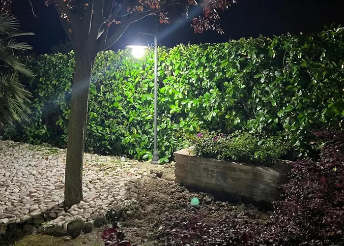 Assisi, La Noce Assisi