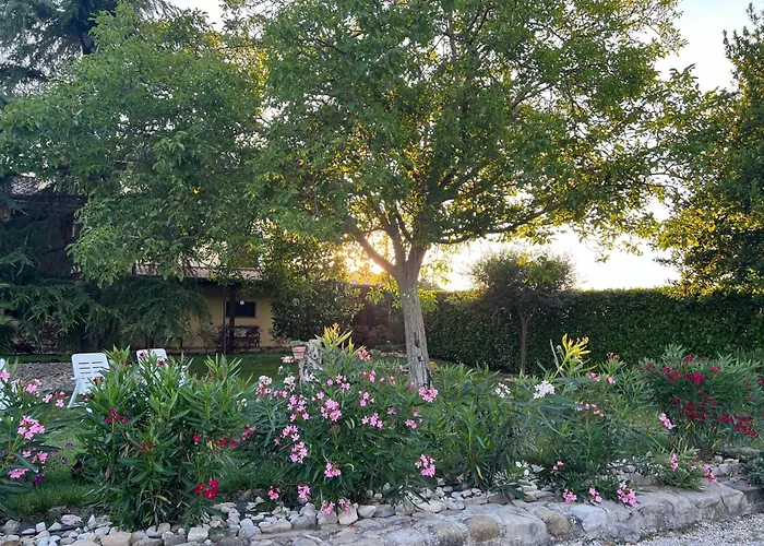 Assisi, La Noce Ассизи