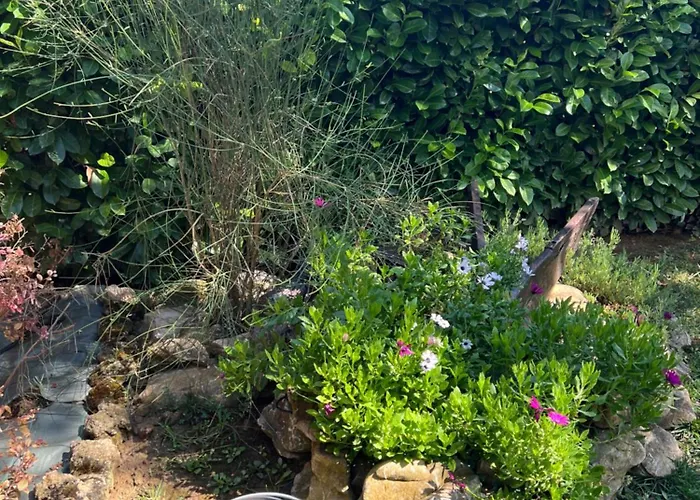 Apartamento Assisi, La Noce Assisi