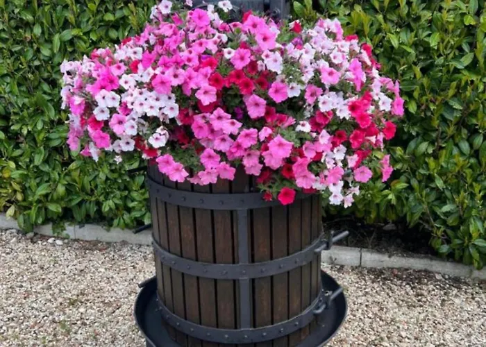 Assisi, La Noce * Assisi