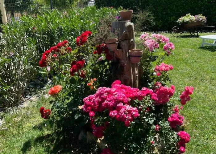 Apartamento Assisi, La Noce Assisi