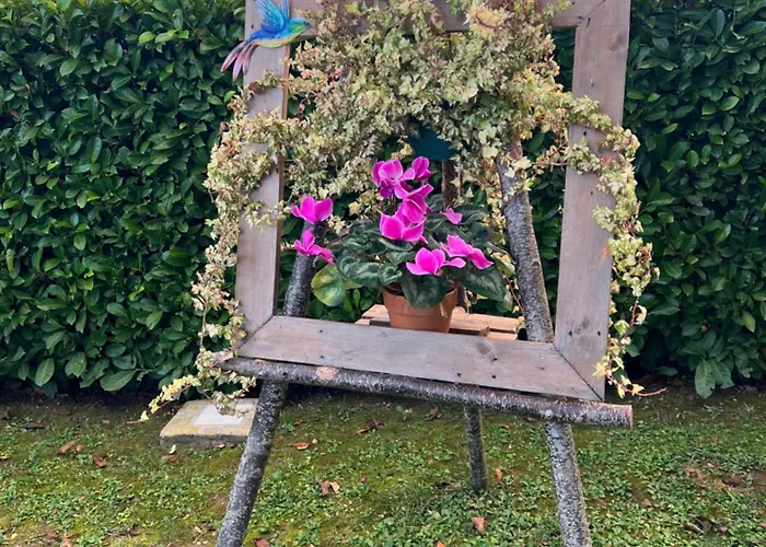 Apartamento Assisi, La Noce *