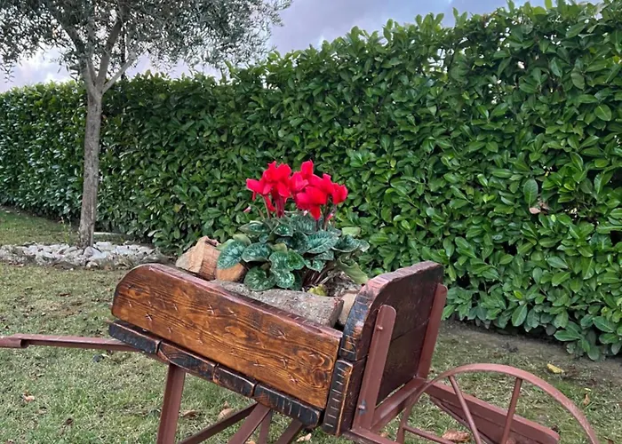 Assisi, La Noce Apartamento