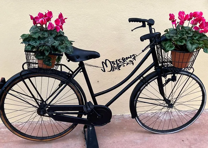 Assisi, La Noce * Assisi